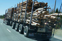 On the Road  (1)