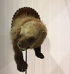 Museum in Québec-city (1)