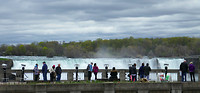 Niagara Falls (5)