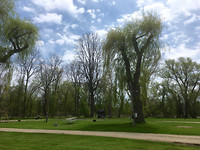 Camping Grand Oaks, Cayuga (2)