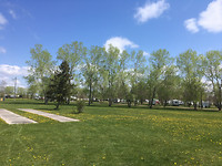 Zaterdag in Winnipeg: prachtig weer