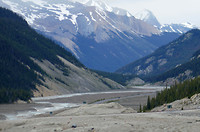 Gletsjer, Jasper NP (11)
