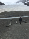 Gletsjer (4)