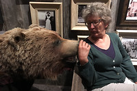 Joke temt grizzly