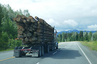 Houttransport