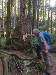 Egmont (6)