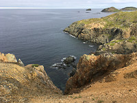 Twillingate  (1)