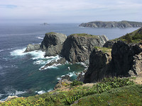 Twillingate (4)