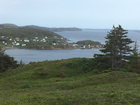 Twillingate (5)