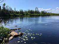 Frenchman's Cove (2)