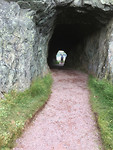 Brigus (1)