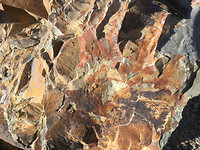 Geologie