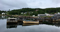 Terra Nova (2)