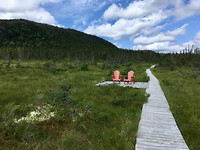 Terra Nova (3)