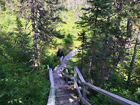 Terra Nova (4)