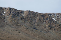 Gros Morne (5)