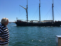 De haven