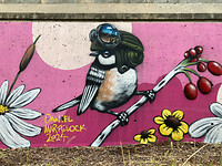 Graffity onder de brug