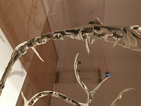 National Gallery of Canada 4