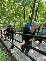 Mont Royal 1