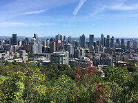 Mont Royal 3