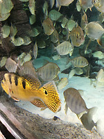 Biodome 3