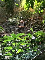 Biodome 5