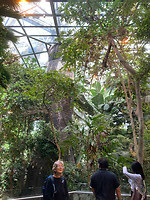 Biodome 6