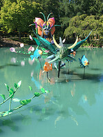 Botanische Tuinen 1