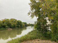 Winnipeg  3