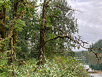 Camping Prov Park Cultus Lake