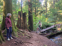 Het oerbos 2