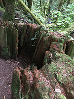 Oeroud