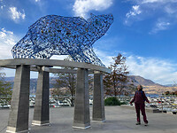 De beer van Kelowna