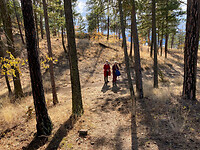 Mount Knox 2