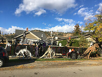 Halloween in Kelowna