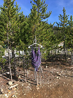 Skyview Campground 6a