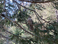 Manning Park 8