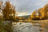 Merritt 2