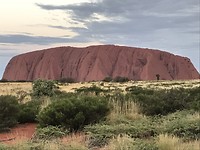 IMG_0356