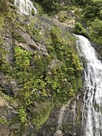 IMG_0424