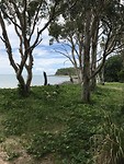 IMG_0432