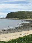 IMG_0433