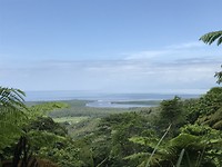IMG_0461
