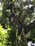 IMG_0495