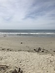 IMG_0498