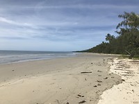 IMG_0499