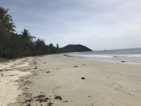 IMG_0500