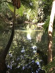 IMG_0503