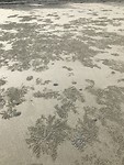 IMG_0508
